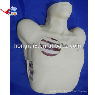 Mannequin de drainage pleural ISO, Pneumothorax Décompression, drainage thoracique